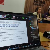 Mujer y SENADIS fortalecen capacitan a funcionariado sobre discapacidad y derechos humanos